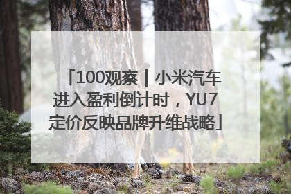 100观察｜小米汽车进入盈利倒计时，YU7定价反映品牌升维战略